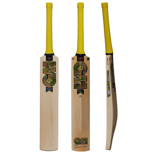 GM Psyche DXM 404 Junior Cricket Bat 2025