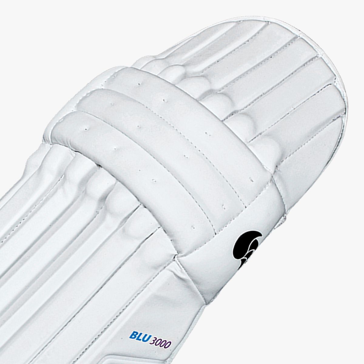 DSC Blu 3000 Batting Pads 2025