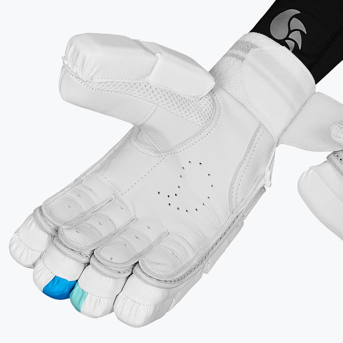 DSC Cynos 22 Junior Batting Gloves 2025