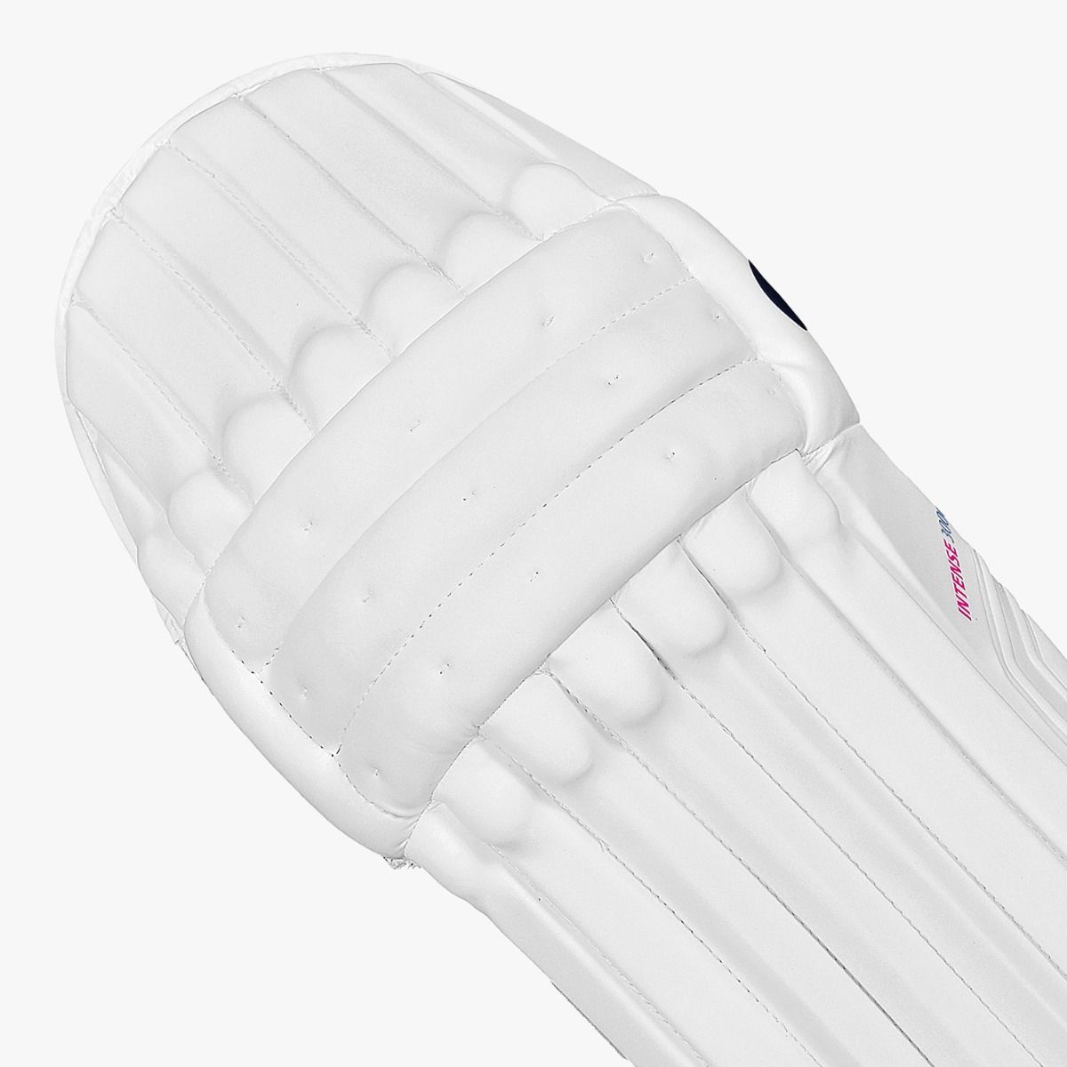 DSC Intense 3000 Batting Pads 2025