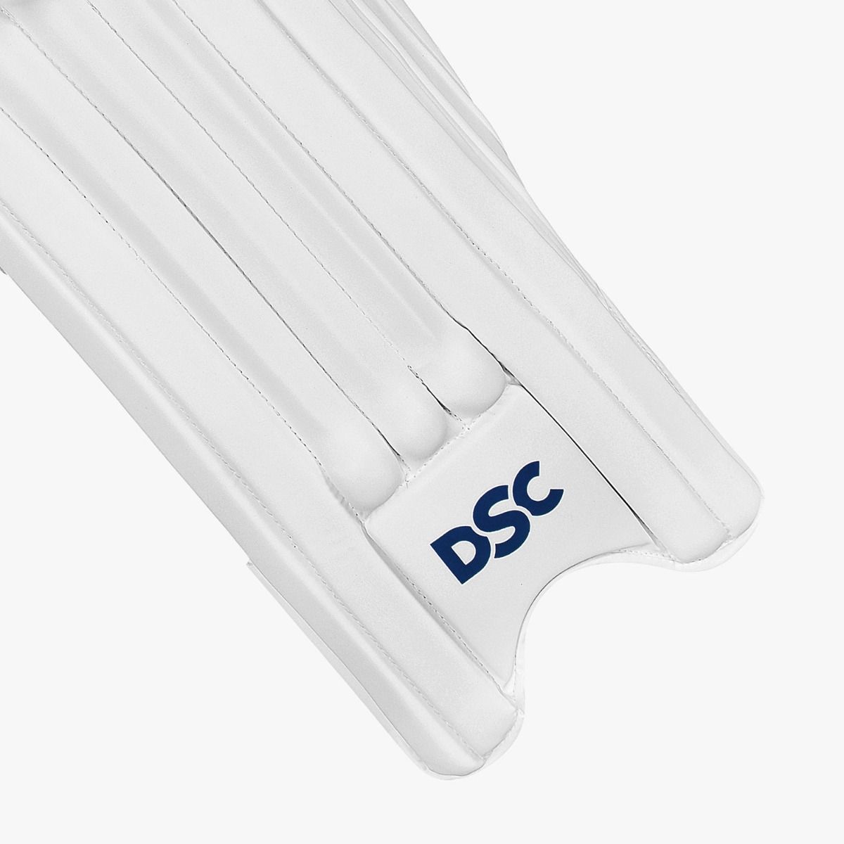 DSC Intense 3000 Batting Pads 2025