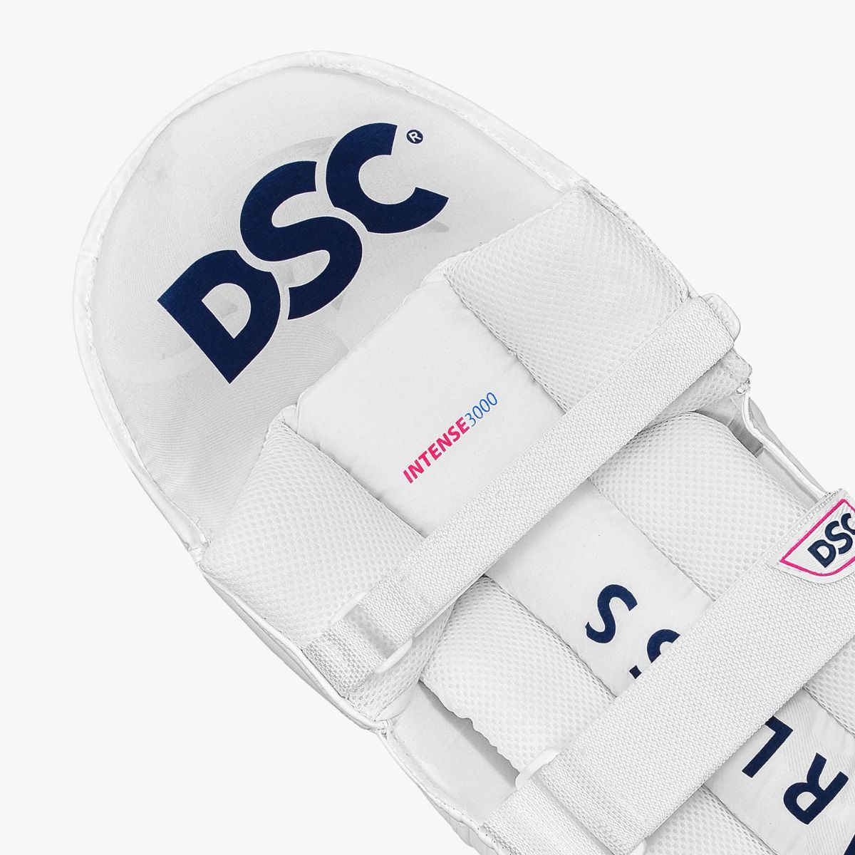 DSC Intense 3000 Batting Pads 2025
