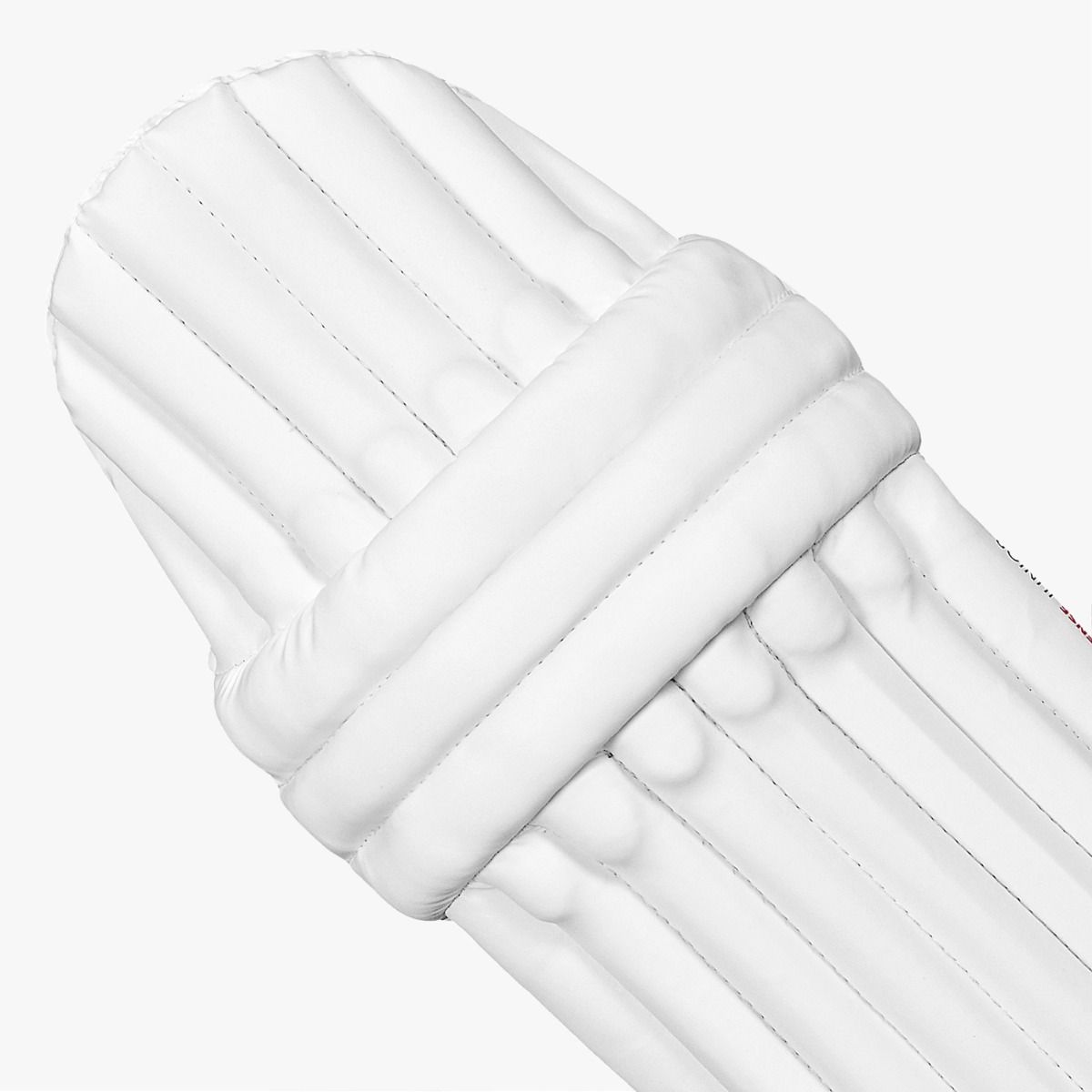 DSC Intense Junior Batting Pads