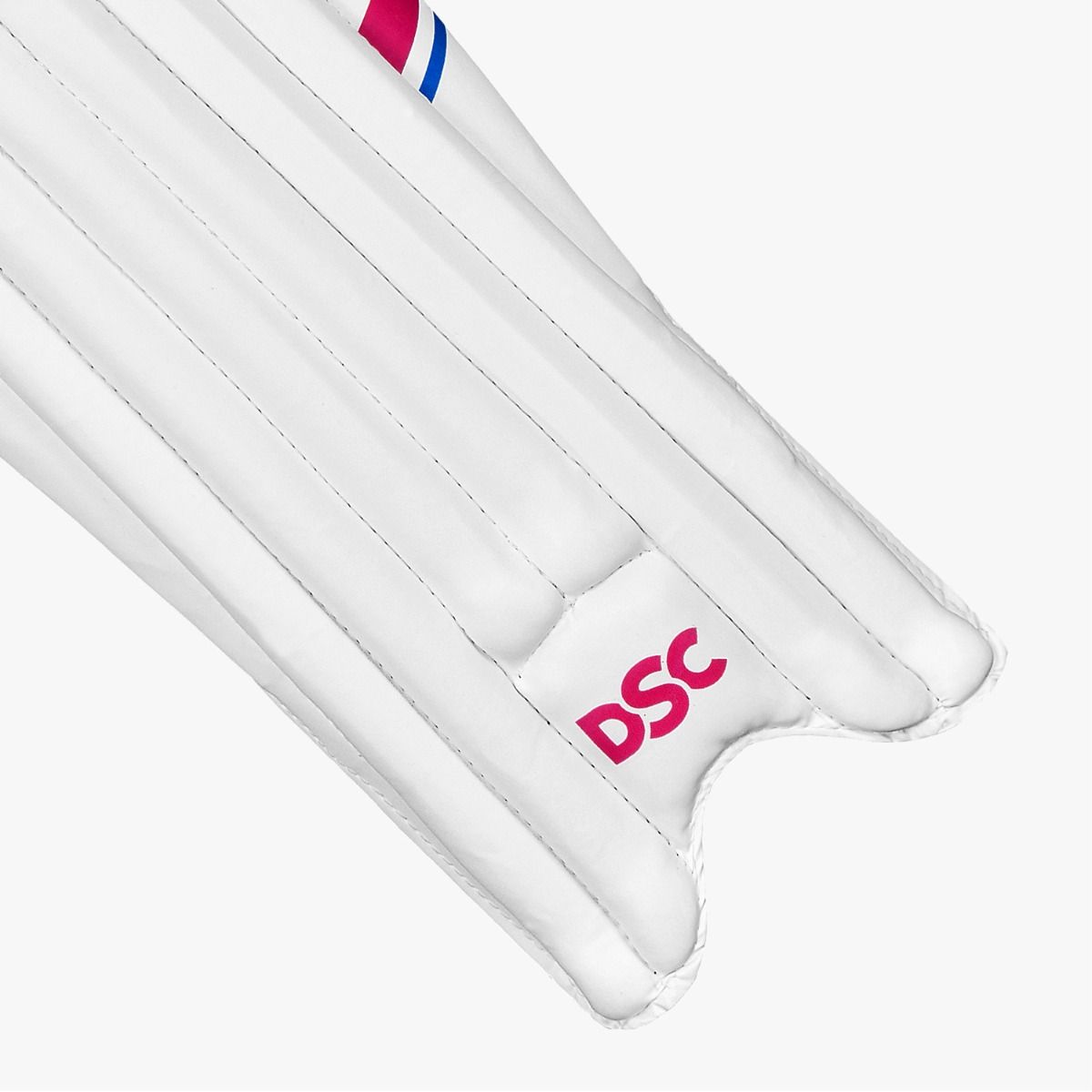 DSC Intense Junior Batting Pads