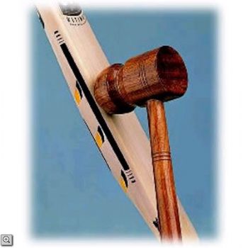 Bat Knocking Service with Clear Sheet