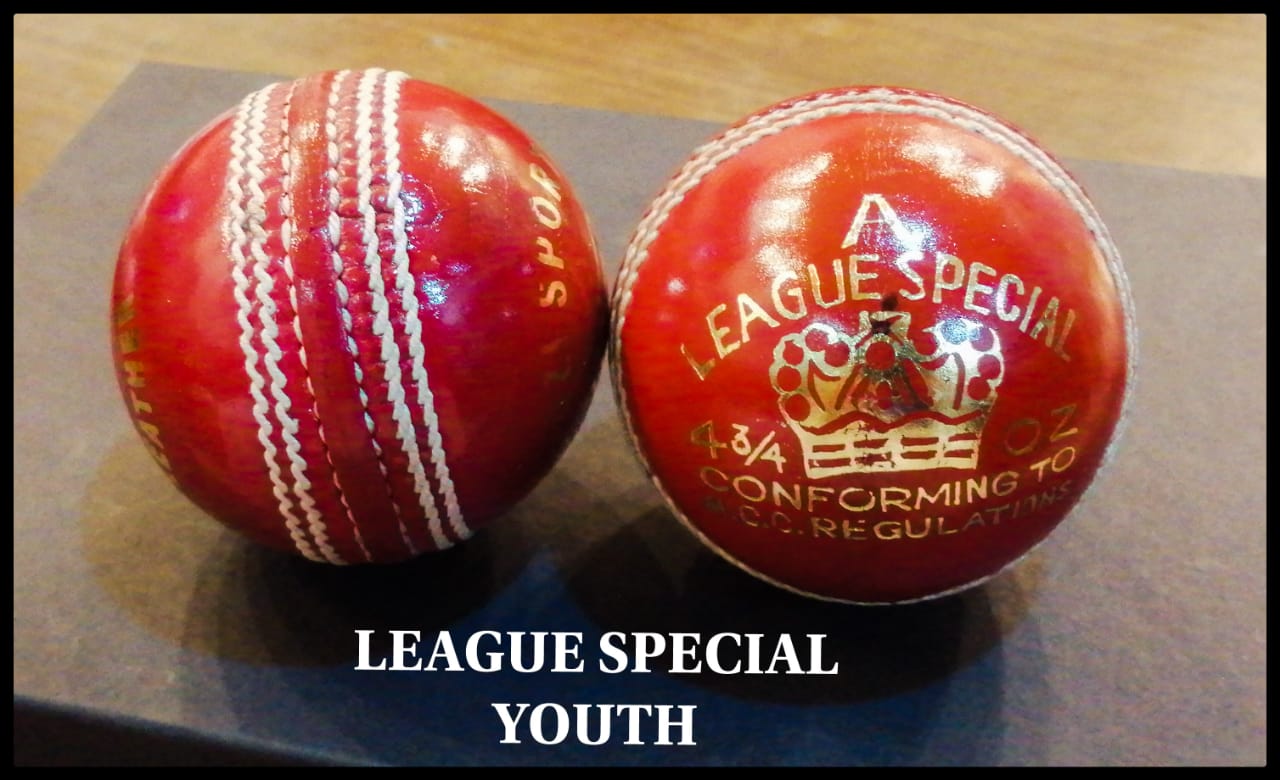 Uzi Player Cricket Ball