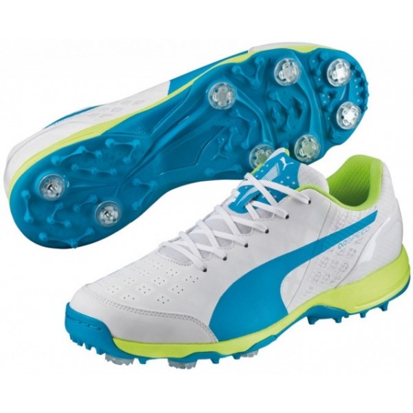 Puma evospeed cricket best sale