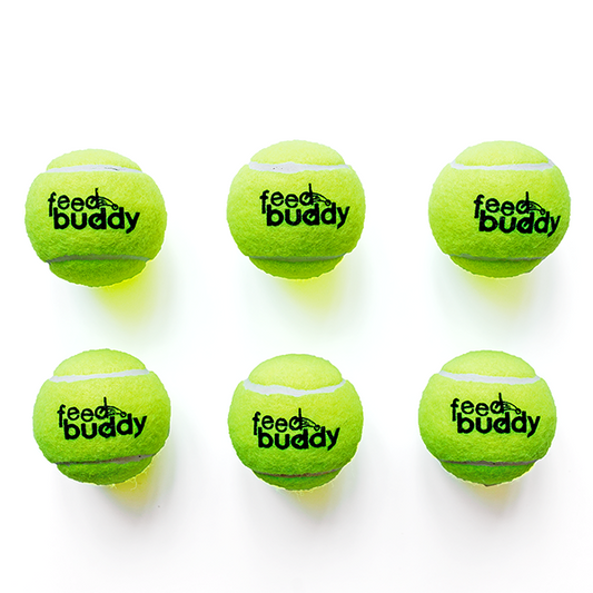 Feed Buddy Tennis Balls ( Pack of 6)