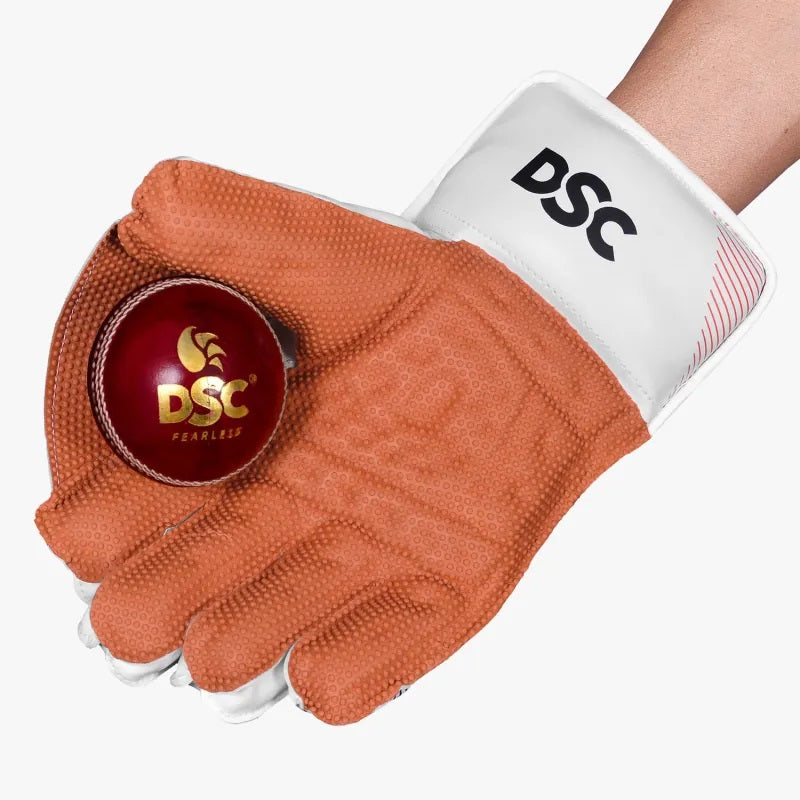DSC Krunch 7000 Wicket Keeping Gloves 2024