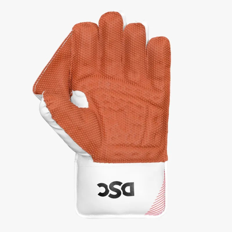 DSC Krunch 7000 Wicket Keeping Gloves 2024