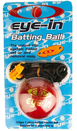 Eye-In Batting Ball