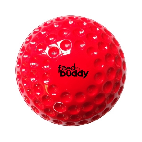 Feed Buddy Balls ( Pack of 6)