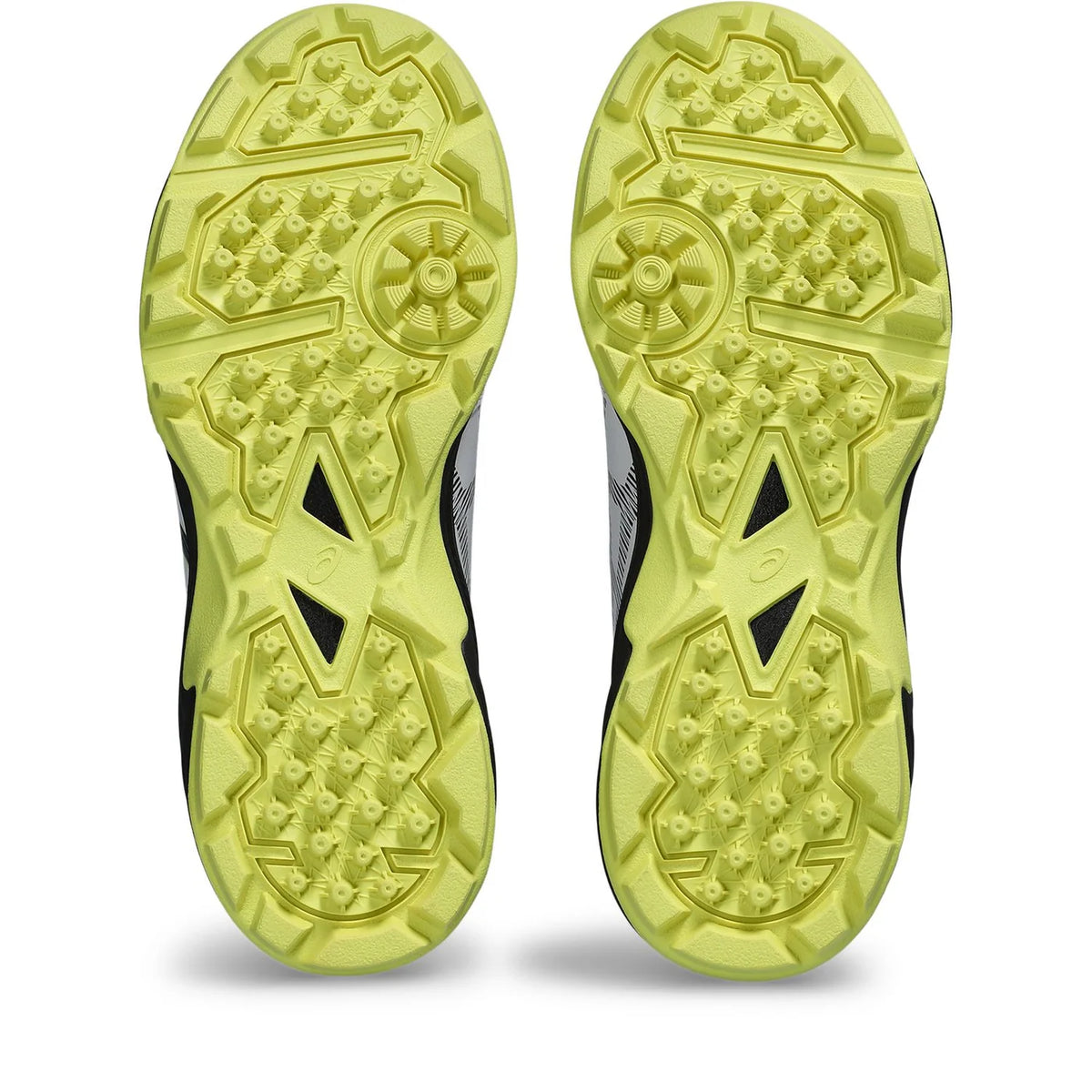 Asics Gel Peake 2 Rubber Cricket Shoes