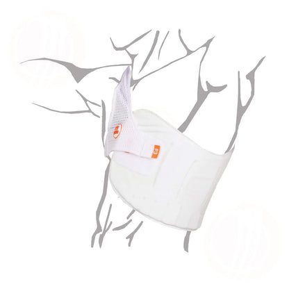 Aero P3 V2 Chest Protector 2026