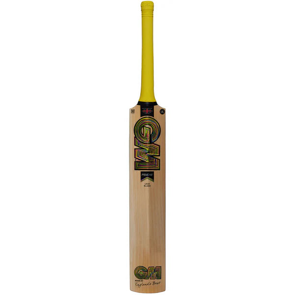 GM Psyche DXM 808 Cricket Bat 2025