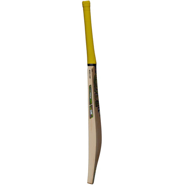 GM Psyche DXM 808 Cricket Bat 2025