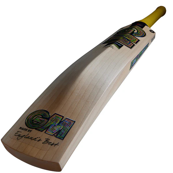 GM Psyche DXM 606 Delta Cricket Bat 2025