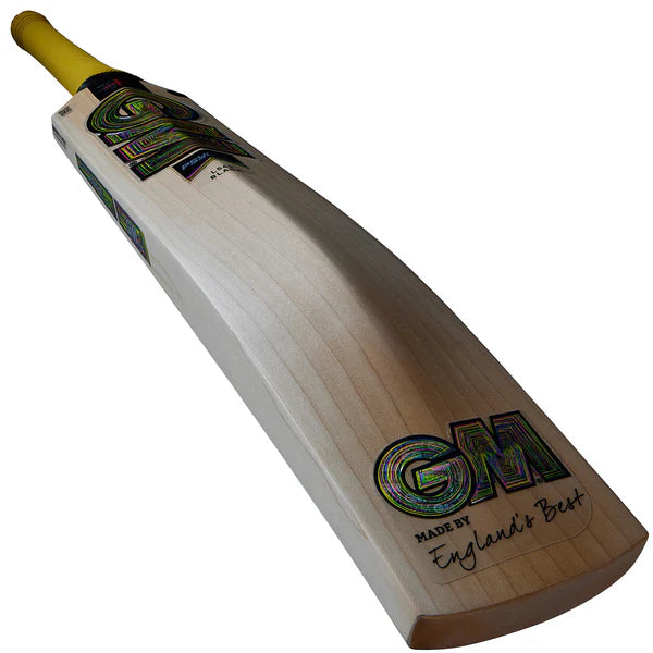 GM Psyche DXM 808 Cricket Bat 2025