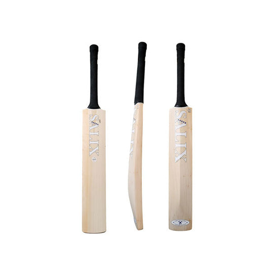 Salix Amp Select Cricket Bat