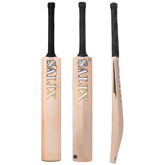 Salix Amp Performance Cricket Bat