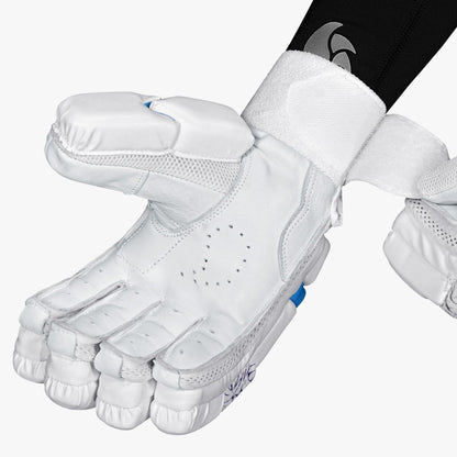 DSC Blu 3000 Batting Gloves 2025