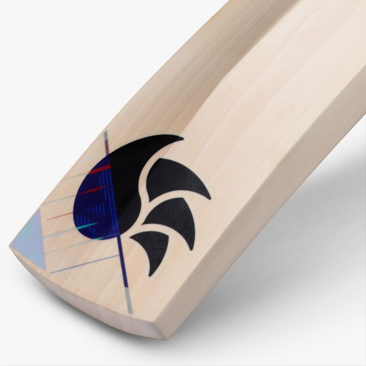 DSC Cynos 11 Compact(Womens) Cricket Bat 2025