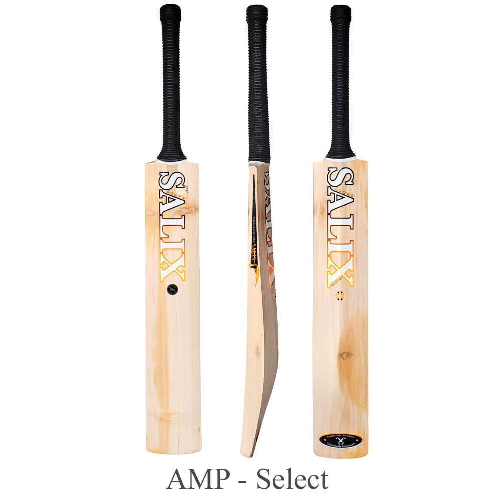 Salix Amp Alba Cricket Bat