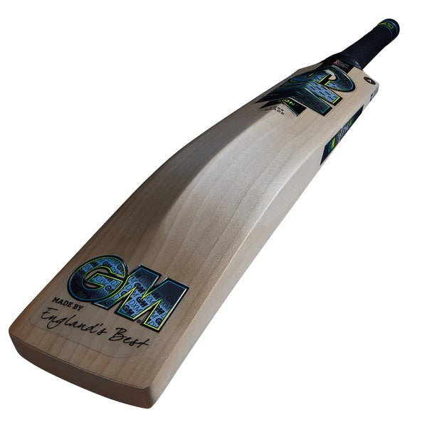 GM Aion DXM 404 Harrow Cricket Bat 2024