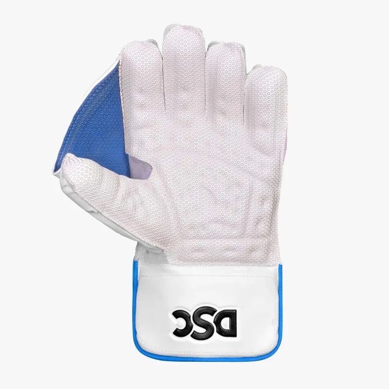 DSC Xlite 2.0 Wicket Keeping Gloves 2024