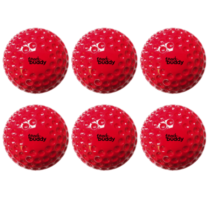 Feed Buddy Balls ( Pack of 6)