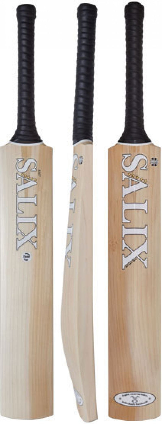 Salix Amp Performance Cricket Bat 2022