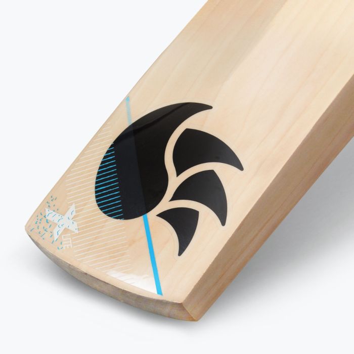 DSC X-LITE 4.0 Cricket Bat 2024