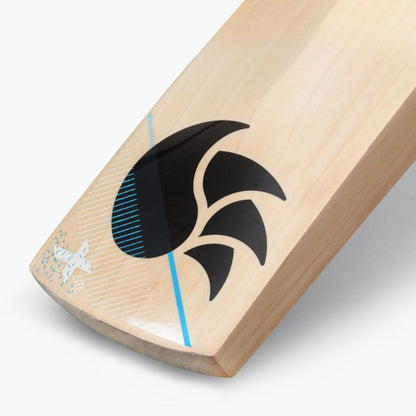 DSC X-LITE 4.0 Cricket Bat 2024